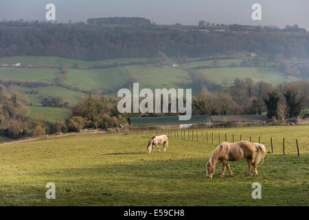 Vista sulla valle Slad vicino a Stroud, Gloucestershire, Regno Unito Foto Stock