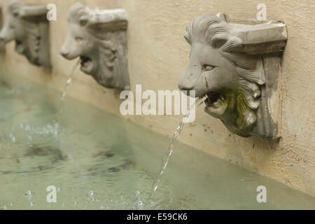 Statua di teste di leone acqua del tubo di lancio. Foto Stock