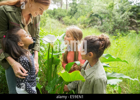 Studenti e docenti esaminando piante all'aperto Foto Stock