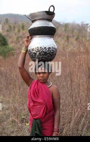 Donna tribale che porta utensili sulla sua testa, Kamar tribù, Matal Village, Chattisgadh, India Foto Stock