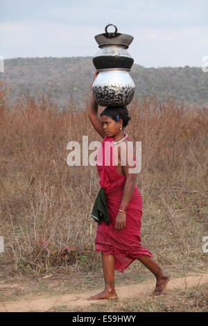 Donna tribale che porta utensili sulla sua testa, Kamar tribù, Matal Village, Chattisgadh, India Foto Stock