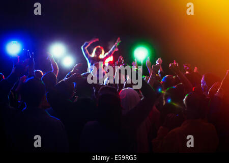 Pubblico godendo del concerto di musica Foto Stock