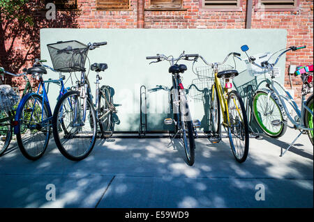 Biciclette schierate in rack su cancella il giorno di estate Foto Stock