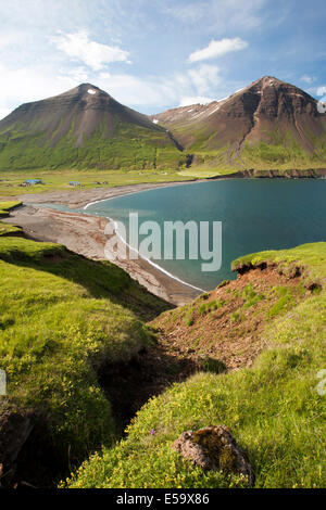 La costa vicino a Borgarfjordur Eystri - Bakkagerdi - Est Islanda Islanda Foto Stock