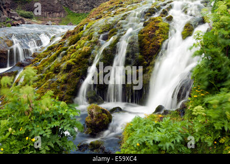 Gjain cascate - Gjain Canyon, Southern Highlands - Islanda Foto Stock