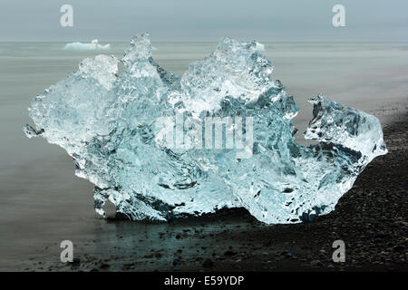 Iceberg sulla spiaggia di sabbia nera a Jokulsarlon - Sud Est dell'Islanda Foto Stock