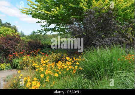 Vivaci e vibranti fiori piantati tradizionale Giardino Inglese a Rosemoor Garden, Torrington, Devon, South West England, Regno Unito Foto Stock