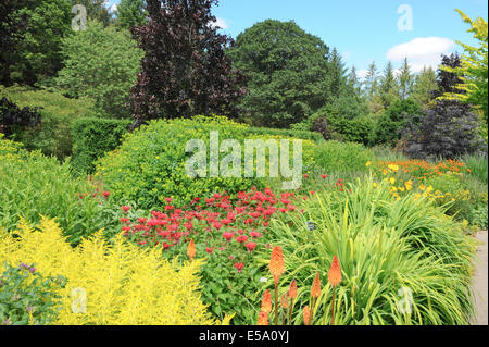 Vivaci e vibranti fiori piantati tradizionale Giardino Inglese a Rosemoor Garden, Torrington, Devon, South West England, Regno Unito Foto Stock