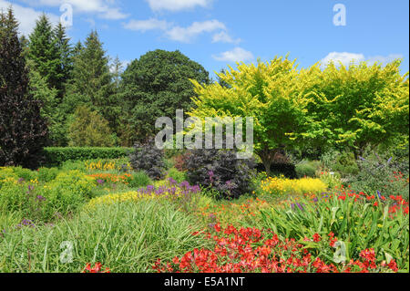 Vivaci e vibranti fiori piantati tradizionale Giardino Inglese a Rosemoor Garden, Torrington, Devon, South West England, Regno Unito Foto Stock