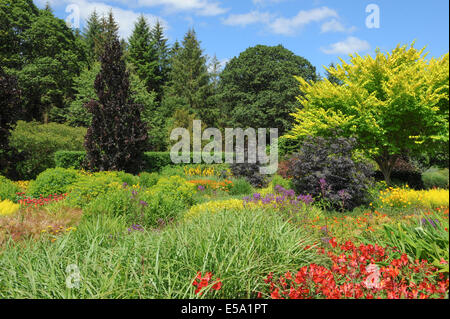 Vivaci e vibranti fiori piantati tradizionale Giardino Inglese a Rosemoor Garden, Torrington, Devon, South West England, Regno Unito Foto Stock