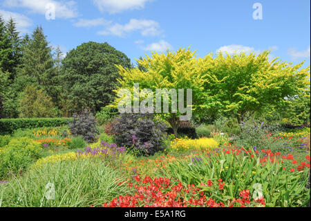 Vivaci e vibranti fiori piantati tradizionale Giardino Inglese a Rosemoor Garden, Torrington, Devon, South West England, Regno Unito Foto Stock