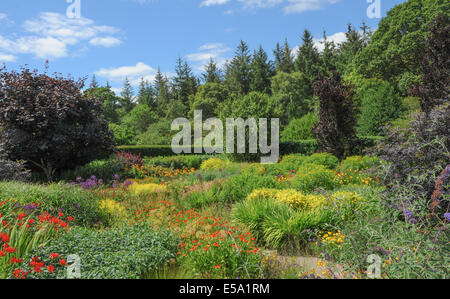 Vivaci e vibranti fiori piantati tradizionale Giardino Inglese a Rosemoor Garden, Torrington, Devon, South West England, Regno Unito Foto Stock