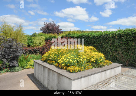 Vivaci e vibranti fiori piantati tradizionale Giardino Inglese a Rosemoor Garden, Torrington, Devon, South West England, Regno Unito Foto Stock