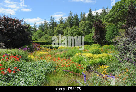 Vivaci e vibranti fiori piantati tradizionale Giardino Inglese a Rosemoor Garden, Torrington, Devon, South West England, Regno Unito Foto Stock