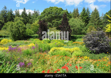 Vivaci e vibranti fiori piantati tradizionale Giardino Inglese a Rosemoor Garden, Torrington, Devon, South West England, Regno Unito Foto Stock