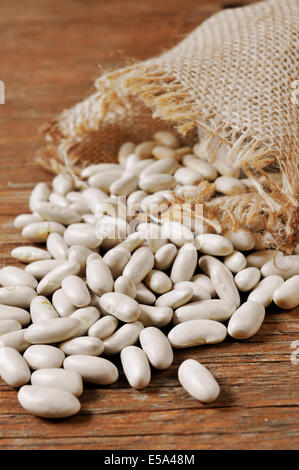 Un mucchio di essiccato di fagioli bianchi su una tavola in legno rustico Foto Stock