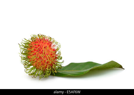 Rambutan frutto isolato su bianco Foto Stock