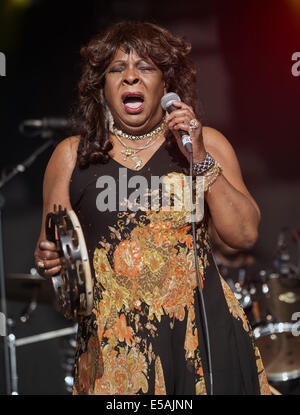 Dundrennan, UK. Xxv Luglio, 2014. Martha Reeves di Marta e Vandellas esegue sul palco il giorno 1 di Wickerman Festival il 25 luglio 2014 in Dundrennan, Scozia. Credito: Sam Kovak/Alamy Live News Foto Stock