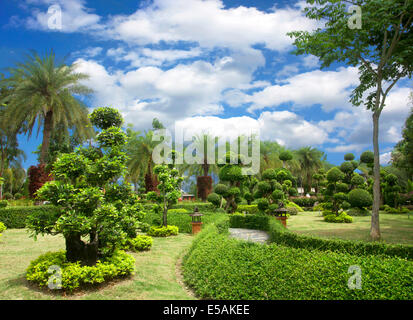 Bonsai naturale giardino con alberi rigogliosi parchi verdi. Foto Stock