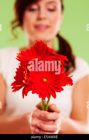 Bouquet di gerbere rosse Debica, Polonia Foto Stock