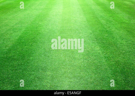 Greensward campo di calcio sfondo campo verde Foto Stock