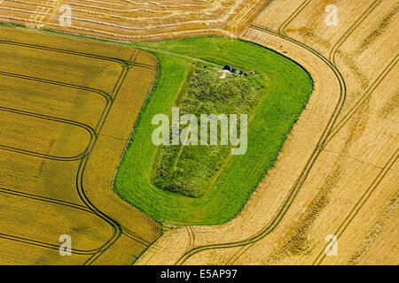 Vista aerea del West Kennet Long Barrow, Wiltshire, Regno Unito. JMH6185 Foto Stock