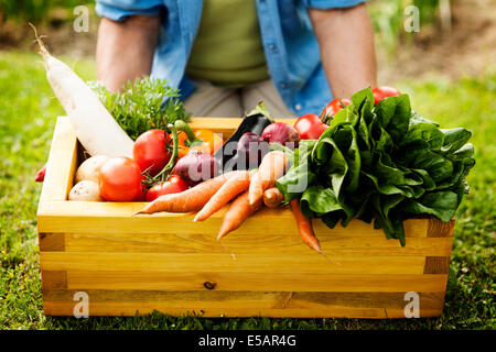 Scatola di legno riempita di verdure fresche Debica, Polonia Foto Stock