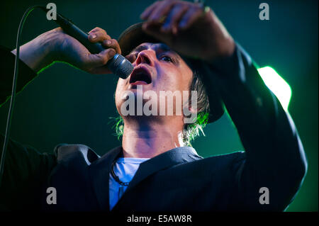 Lšrrach, Germania. Xxv Luglio, 2014. Peter Doherty (Vocals/ chitarra) dall'inglese rock band Babyshambles si esibisce dal vivo a Stimmen (voci) music festival in Lšrrach, Germania. Foto: Miroslav Dakov/ Alamy Live News Foto Stock