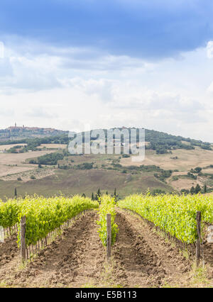 Valle Orcia, Italia. Wideyard toscano durante la stagione primaverile. Foto Stock