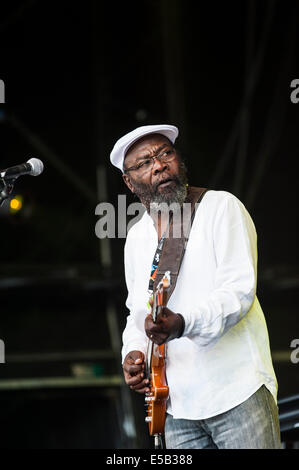 Charlton Park, Regno Unito. Xxv Luglio, 2014. Clinton Fearon, reggae giamaicano titan, esegue sul palcoscenico open-air del festival Womad per una torrida metà giornata folla. Fearon, bassista originale di radici reggae-pesi massimi dei gladiatori, renderà ad esibizioni nel corso del fine settimana. Credito: Francesca Moore/Alamy Live News Foto Stock