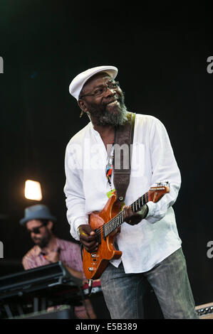 Charlton Park, Regno Unito. Xxv Luglio, 2014. Clinton Fearon, reggae giamaicano titan, esegue sul palcoscenico open-air del festival Womad per una torrida metà giornata folla. Fearon, bassista originale di radici reggae-pesi massimi dei gladiatori, renderà ad esibizioni nel corso del fine settimana. Credito: Francesca Moore/Alamy Live News Foto Stock