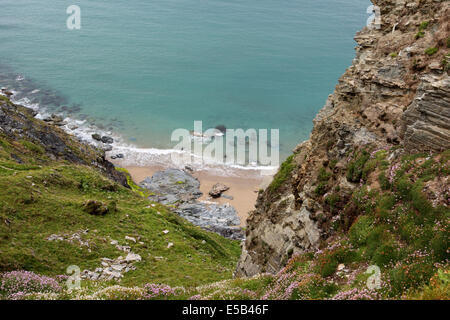 Sentiero costiero tra Tintagel e Treknow Foto Stock