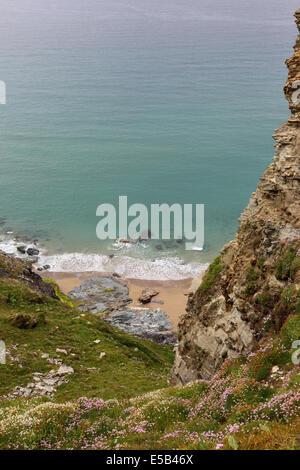 Sentiero costiero vicino tra Tintagel e Treknow Foto Stock