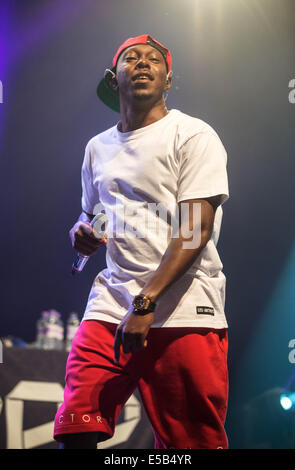 Dundrennan, Dumfries Scozia, Regno Unito. Xxv Luglio, 2014. Dizzee Rascal esegue sul palco di Wickerman Festival a Dundrennan sulla luglio 25, 2014 a Dumfries, Regno Unito. Credito: Sam Kovak/Alamy Live News Foto Stock