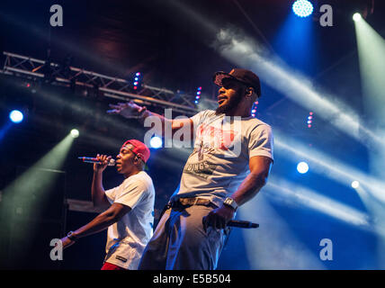 Dundrennan, Dumfries Scozia, Regno Unito. Xxv Luglio, 2014. Dizzee Rascal esegue sul palco di Wickerman Festival a Dundrennan sulla luglio 25, 2014 a Dumfries, Regno Unito. Credito: Sam Kovak/Alamy Live News Foto Stock