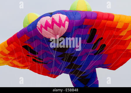 Lytham St Annes, Blackpool, 26 luglio 2014. Mark Bowlas (Manta Ray) dalla Nuova Zelanda al festival di kite di St. Annes. I cieli sul lungomare di St Annes erano inondati di colori, mentre i favolosi aquiloni espositore si sono presi in aria sulla spiaggia adiacente al molo. Il festival ha visto la partecipazione di kite a linea singola di tutte le forme e dimensioni, tra cui razze Manta volanti, un orso gigante Teddy, insieme a kite midi a 2 e 4 linee. Foto Stock