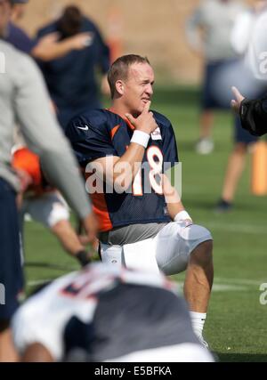 Englewood, Colorado, Stati Uniti d'America. 26 Luglio, 2014. Broncos QB PAYTON MANNING si riscalda prima di trapani a Denver Broncos Training Camp a valle Colomba sabato mattina. © Hector Acevedo/ZUMA filo/Alamy Live News Foto Stock