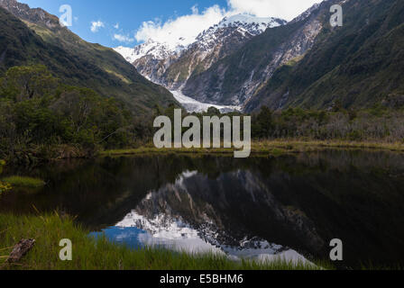 Nuova Zelanda Isola del Sud Costa Occidentale. Una vista del Ghiacciaio Franz Josef riflessa nella piscina Peters Foto Stock