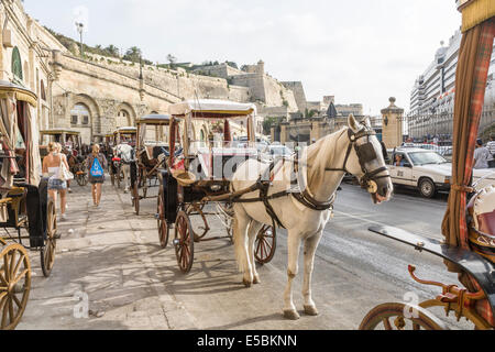 Cavallo e carrello stand a La Valletta, Malta, in attesa di dare passeggiate per i turisti che arrivano da crociera Foto Stock