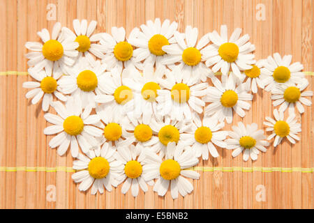 Tazza da tè di camomilla fiori su sfondo marrone Foto Stock