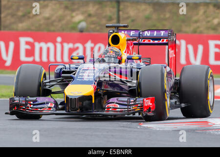 Mogyorod, Ungheria. 27 Luglio, 2014. Red Bull driver di Formula Uno Sebastian Vettel di Germania spinge la sua vettura durante la sessione di qualifiche della F1 grande Prix ungherese a Hungaroring a Mogyorod, Ungheria il 26 luglio 2014. Sebastian Vettel al secondo posto alle spalle di Mercedes Nico Rosberg. Credito: Jure Makovec/Xinhua/Alamy Live News Foto Stock