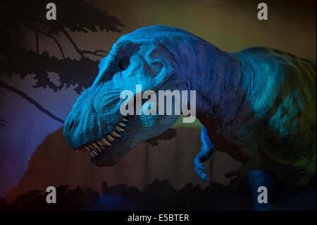Recostruction del Tyrannosaurus rex, Cretacic superiore, Usa, London Natural History Museum Foto Stock