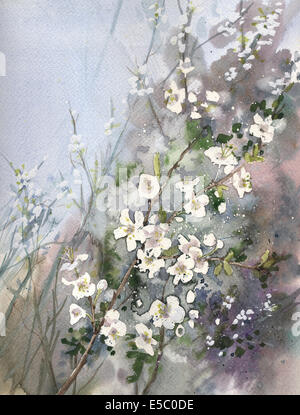 La pittura di fioritura prugnolo Foto Stock