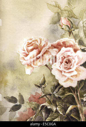 Illustrazione di bellissime piante di rose Foto Stock