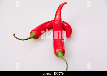 2 peperoncino rosso Foto Stock