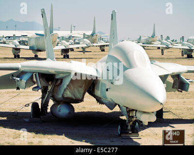 F14D Tomcat nel cimitero Davis-Monthan Air Force Base di Tucson in Arizona USA Foto Stock