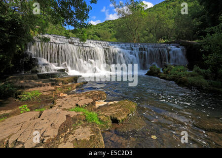 Weir sul fiume Wye in Monsal Dale, Derbyshire, Parco Nazionale di Peak District, Inghilterra, Regno Unito. Foto Stock