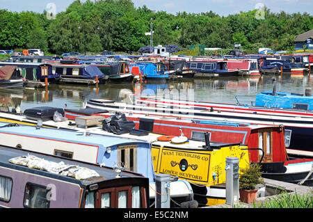 Narrowboats sulla loro ormeggi agganciati alle forniture di elettricità nel bacino del canale, Barton Marina, Barton-sotto-Needwood, UK. Foto Stock