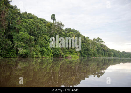 Una vista del fiume Tambopata Provincia in Amazzonia. Foto Stock