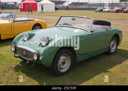 Austin Healey sprite sport 945cc costruita nel 1961 auto in mostra a Silverstone Classic car giorno Foto Stock